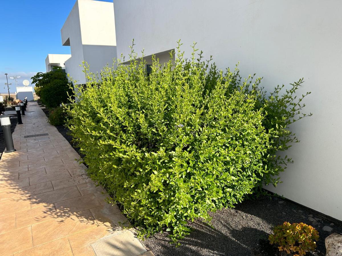 Casilla De Costa, La Oliva Apartment Villaverde  Exterior foto